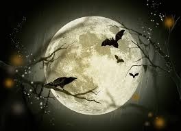 Trick or Treat AKA Triumphs and Tribulations