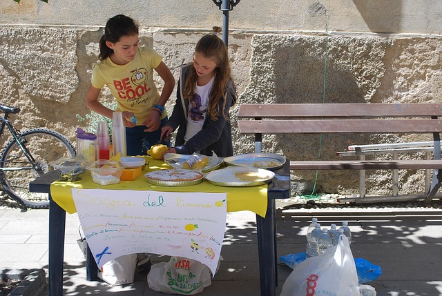 Lemonade Stand Lessons